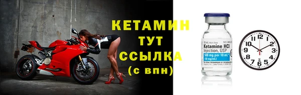 стаф Магас