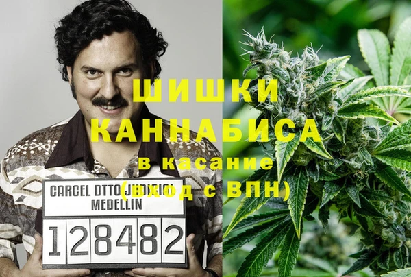 гидра Лихославль