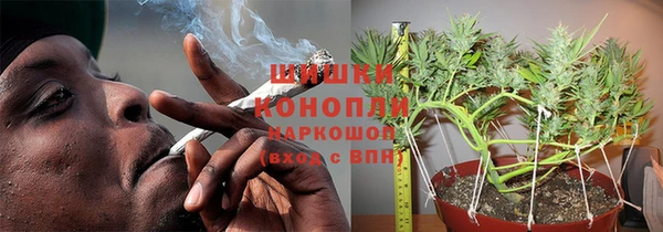 гидра Лихославль