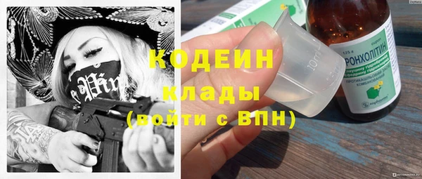 стаф Магас
