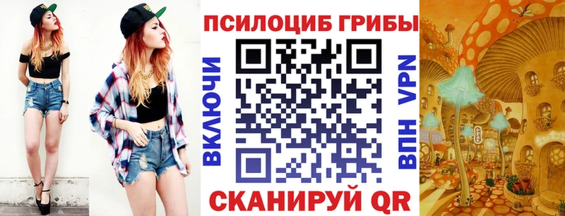 Псилоцибиновые грибы Psilocybine cubensis  как найти   Никольск 